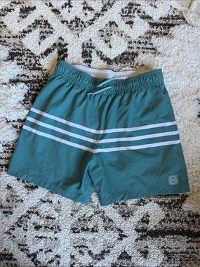 Abercrombie Kids Teal Swim Trunks